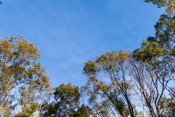 空