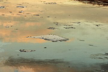 Ice floes in winter sunset water © dashabelozerova