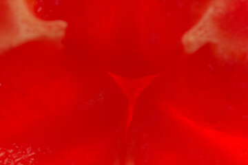 Close-up of a piece of sweet red bell pepper from the inside. Detail of half a red pepper. High quality photo