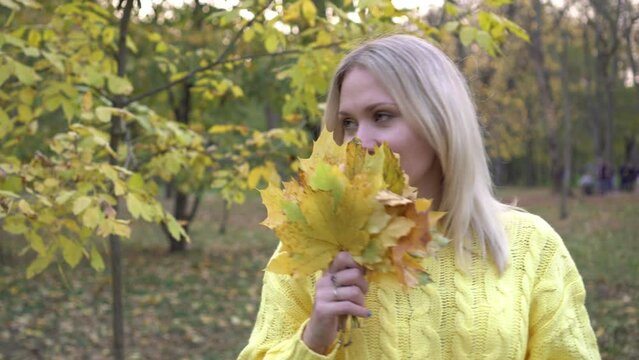 Young woman with yellow leaves in autumn park. A beautiful woman walks on an autumn day in a yellow sweater