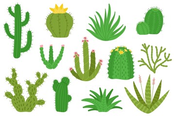 Mexican cactus. Isolated mexico cacti, houseplants decorative set. Desert green cactuses, nature blooming plants succulents. Cartoon decent vector cute botanical kit