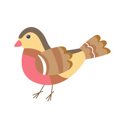 Robin Bird in flat folk style. Isolated vector.