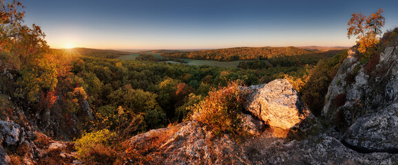 Golden trees at autumn time - panoramic view