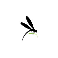 Dragonfly illustration icon design template vector