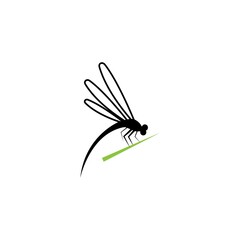 Dragonfly illustration icon design template vector