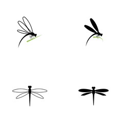 Dragonfly illustration icon design template vector