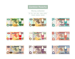 Zambian Kwacha Vector Illustration. Zimbabwe money set bundle banknotes. Paper money 20, 50, 100, 500, 1000, 5000, 10000, 20000, 50000 ZMW. Flat style. Isolated on white background.