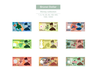 Fototapeta na wymiar Brunei Dollar Vector Illustration. Brunei money set bundle banknotes. Paper money 1, 5, 10, 20, 50, 100, 500, 1000, 10000 BND. Flat style. Isolated on white background. Simple minimal design.
