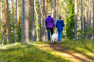 Family Walking With Pet Golden Retriever Dog Along Autumn in pine forest