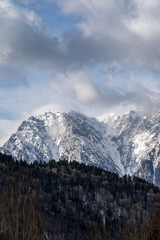 snow covered mountains