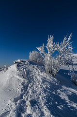 Zima w  Bieszczadach 