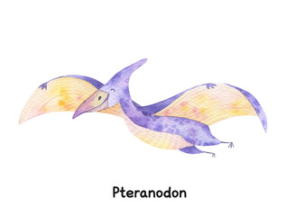 Watercolor cute baby dinosaurs illustration. Pterodactyl, baby dino isolated. Jurassic prehistoric hand drawn clipart. Cute animal illustration for kids © NastiaVik