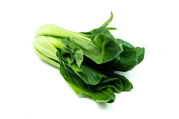 Pak choi isolated on white background