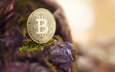 Environmental, Social and Governance. Renewable Cryptocurrency Mining. Gold bitcoin.