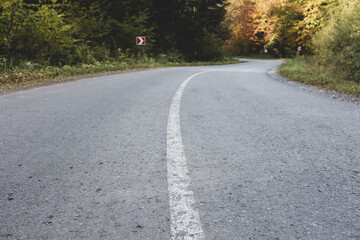 Asphalt road through the deep forest. Nature background.
