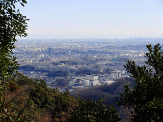 高尾山ハイキングコース