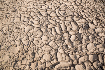 The ground is cracked like a jigsaw.
