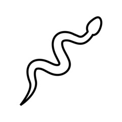 Snake line icon, vector outline logo isolated on white background