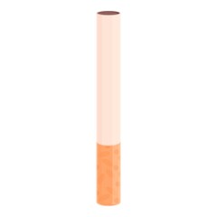 Cigarette icon cartoon vector. Cigar smoke. Smoke pack