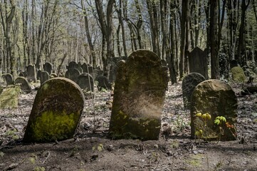cmentarz Żydowski