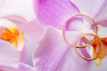 Wedding rings are on the purple orchids
