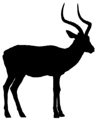 Black and white vector silhouette of an adult African impala antelope. Isolated on white background.