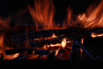 Campfire. Camp bonfire with beautiful flames.