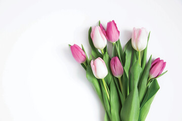 Bouquet of pink and white tulips on a white background