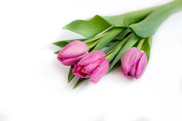 Bouquet of pink tulips on a white background,copy space.