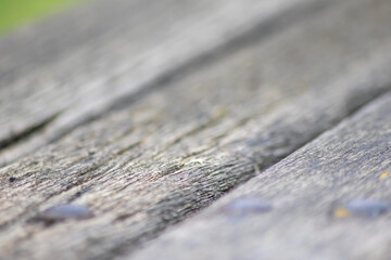 Gray wooden background close-up of old planks and grey timber in vintage style and grunge look as rustic rough and antique organic surface for decoration of backgrounds or as natural frame design