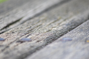 Gray wooden background close-up of old planks and grey timber in vintage style and grunge look as rustic rough and antique organic surface for decoration of backgrounds or as natural frame design