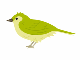 横から見た、メジロの鳥のイラスト