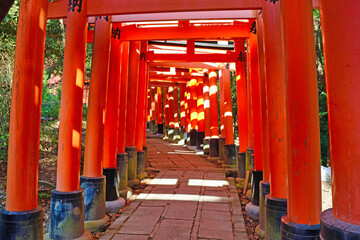 京都 伏見稲荷大社　美しい朱色の鳥居　（日本京都府京都市） Kyoto Fushimi Inari Taisha Shrine famous for beautiful vermilion torii gates (Kyoto City, Kyoto Prefecture, Japan) 