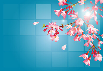 デザインされたカンヒザクラのイラスト