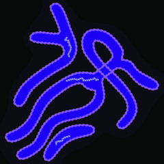 Ebola virus on dark background, vector illustration