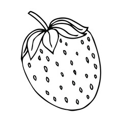 Garden strawberry. doodle fruit or strawberries. Isolated on white background. Fresh strawberry Sweet fruit. Whole strawberry.