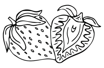 Garden strawberry. doodle fruit or strawberries. Isolated on white background. Fresh strawberry Sweet fruit. Whole strawberry.