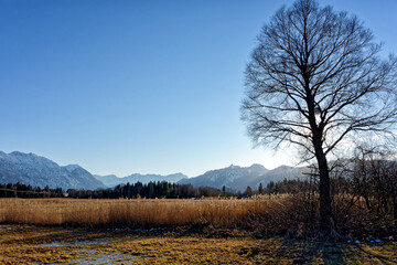 Blick im Winter über das Murnauer Moos auf der Berge des Estergebirges, des Wettersteins und der Ammergauer Alpen, Bayern, Deutschland, Europa