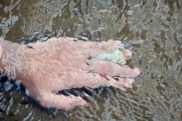 Obraz premium one hand in clear and clean water