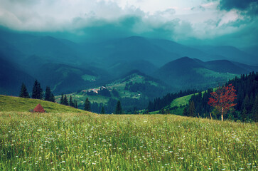 Fototapeta premium Carpathian mountain landscape