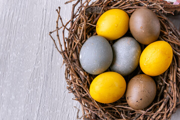 Decorated Easter eggs in birds nest on a concrete surface. Top view. Happy Easter.