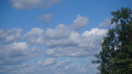 Cumulus (Cu), chmura kłębiasta – oddzielna, nieprzezroczysta, zwykle biała chmura złożona z kropel wody. Jej górna część (z wyjątkiem gatunku Cumulus fractus) ma kształt kopulasty lub kalafiorowaty. 