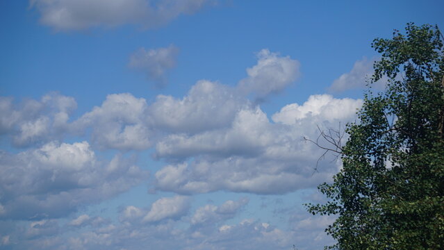 Cumulus (Cu), chmura kłębiasta &ndash; oddzielna, nieprzezroczysta, zwykle biała chmura złożona z kropel wody. Jej g&oacute;rna część (z wyjątkiem gatunku Cumulus fractus) ma kształt kopulasty lub kalafiorowaty. 