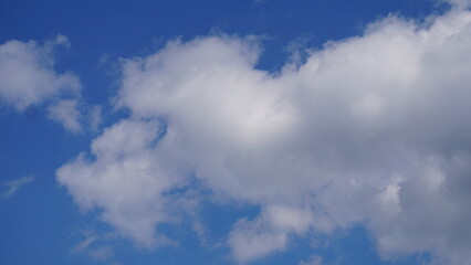 Cumulus (Cu), chmura kłębiasta – oddzielna, nieprzezroczysta, zwykle biała chmura złożona z kropel wody. Jej górna część (z wyjątkiem gatunku Cumulus fractus) ma kształt kopulasty lub kalafiorowaty.  - obrazy, fototapety, plakaty
