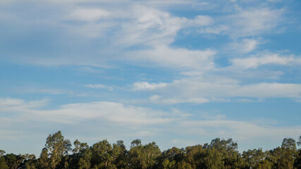 Blue sky with a few white clouds and a line of green trees