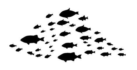 Silhouettes of groups of  fishes on white