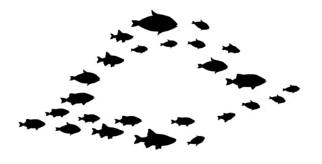 Silhouettes of groups of  fishes on white