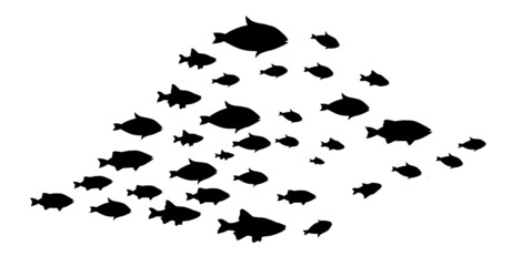 Silhouettes of groups of  fishes on white