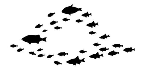 Obraz na płótnie Canvas Silhouettes of groups of fishes on white