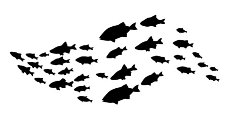 Silhouettes of groups of  fishes on white